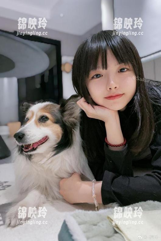 樱群的美图合集：白丝加持，腿控们准备好了没？